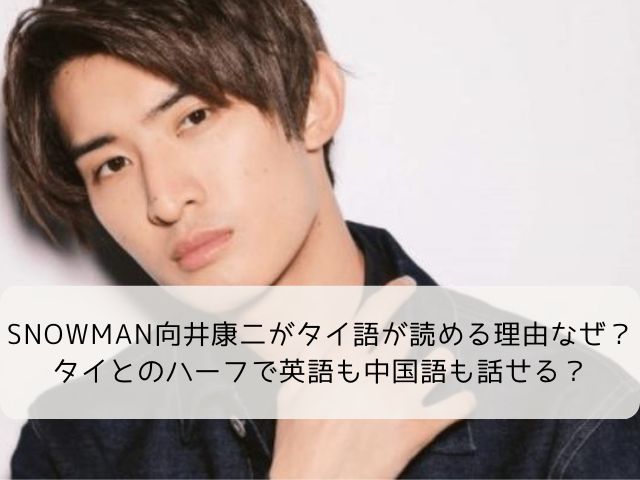 Snowman向井康二がタイ語が読める理由なぜ タイとのハーフで英語も中国語も話せる なふぉミュージック